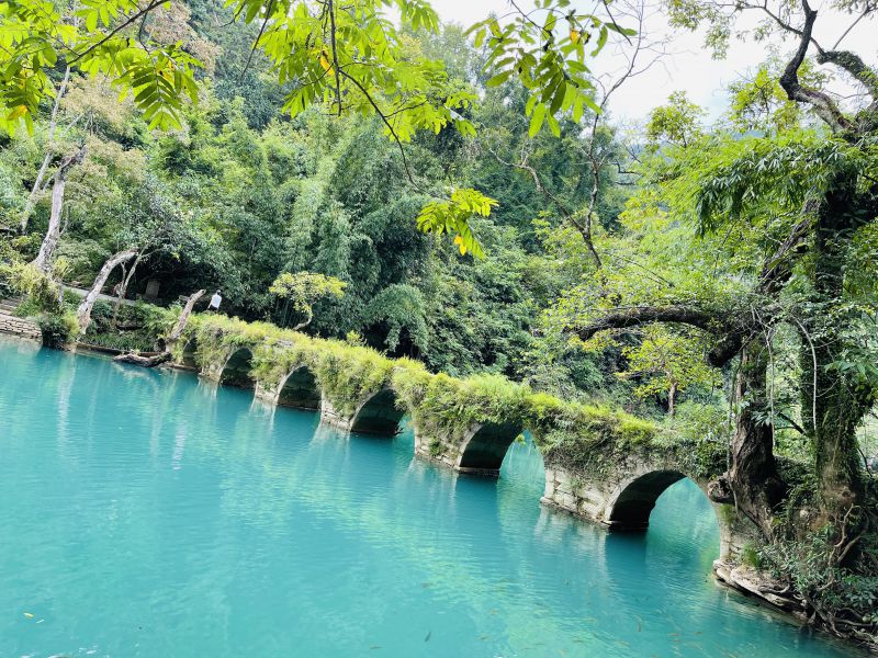 ���㲩��(�й�)�ٷ���վ