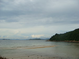 ���㲩��(�й�)�ٷ���վ