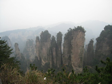 ���㲩��(�й�)�ٷ���վ