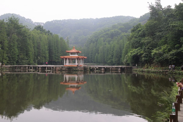 ���㲩��(�й�)�ٷ���վ