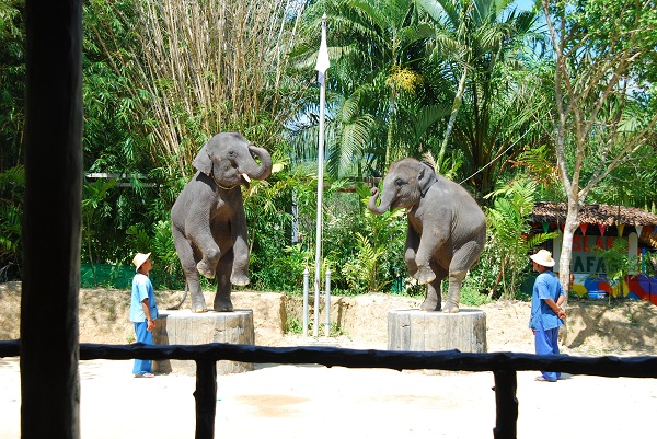 ���㲩��(�й�)�ٷ���վ