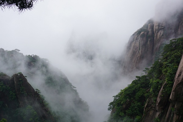 ���㲩��(�й�)�ٷ���վ