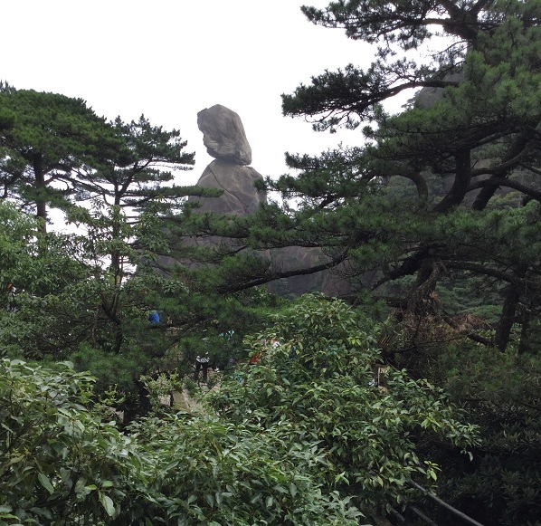 ���㲩��(�й�)�ٷ���վ