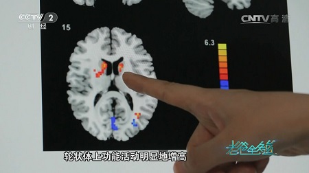 ���㲩��(�й�)�ٷ���վ