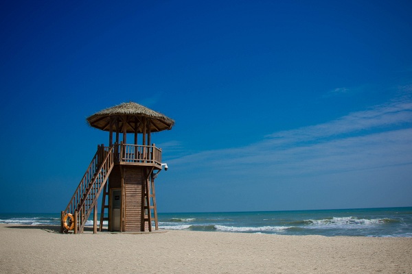 ���㲩��(�й�)�ٷ���վ