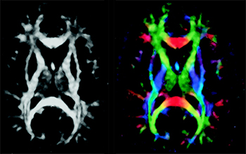 ���㲩��(�й�)�ٷ���վ